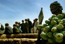 جنگ افغانستان  یادآور جنگ مواد مخدر در کلمبیاست
