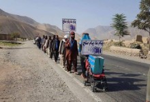 طالبان به کاروان صلح‌خواهان نه گفتند