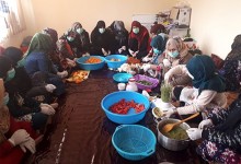 وزارت زراعت: برای بیش‌ از ۳۰ هزار زن فقیر باغچۀ خانه‌گی ساخته شده است