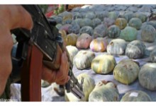 اعضای شورای ولایتی هرات: مواد مخدر به قدرت طالبان می‌افزاید