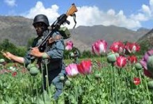 افغانستان و جنگِ تریاک