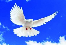 صلح، در قدم سوم، سفیران و فرشته‌های صلح می‌خواهد