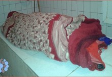 کشف جسد تکه‌تکه‌شدۀ  یک زن ۳۵ ساله در بامیان