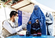 برنامۀ توانمندسازیی زنان افغانستان توسط سازمان غذایی جهان / وقتی‌که درخت‌های سیب و زردآلو به ‌حاصل برسند