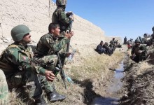 وزارت دفاع ملی: ۱۸ جنگ‌جوی طالبان در ولایت هرات کشته شدند